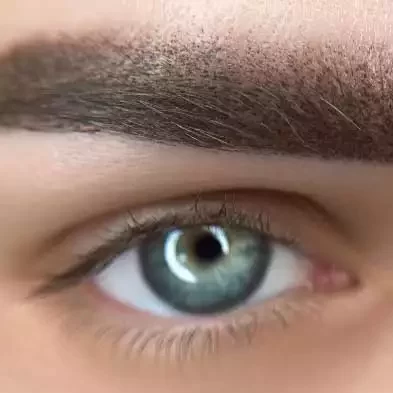 Microblading brow detail