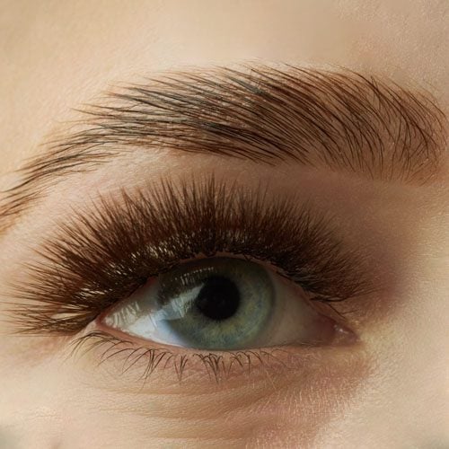 Eyebrow Lamination Eyelash, Eyebrows & Lips Beauty Bar